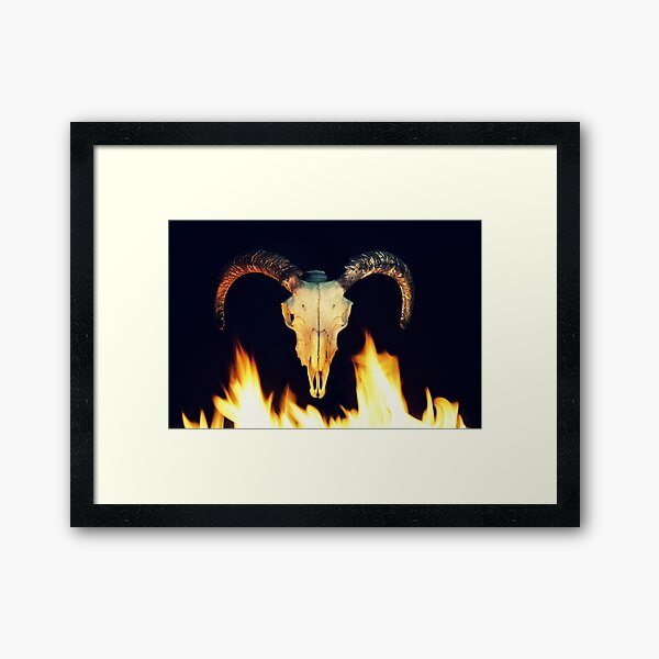 Framed Art Print