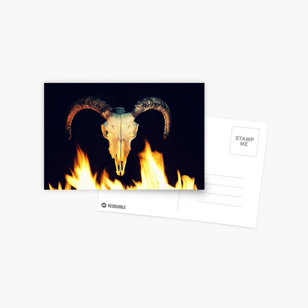 Item preview, Postcard designed and sold by DBailey.
