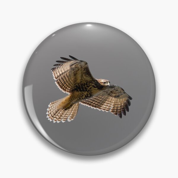 Item preview, Red-Tailed Hawk designed and sold by BaKien.