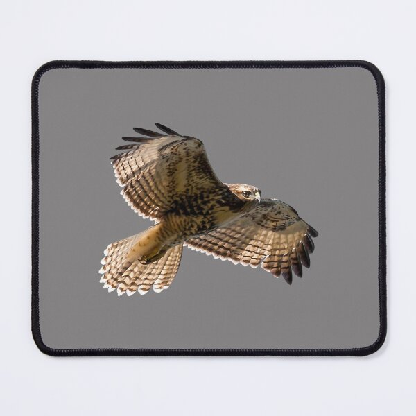 Item preview, Red-Tailed Hawk designed and sold by BaKien.
