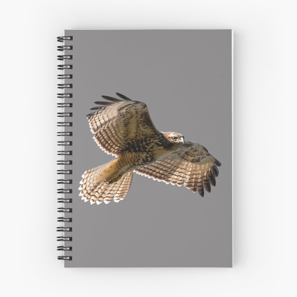 Item preview, Red-Tailed Hawk designed and sold by BaKien.