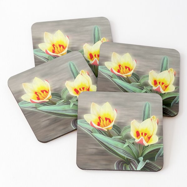 Item preview, The first tulips designed and sold by feiermar.
