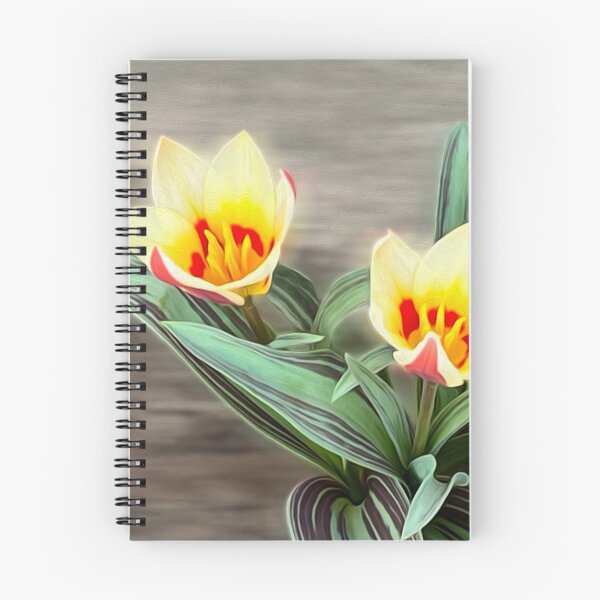 Item preview, The first tulips designed and sold by feiermar.