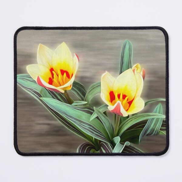 Item preview, The first tulips designed and sold by feiermar.