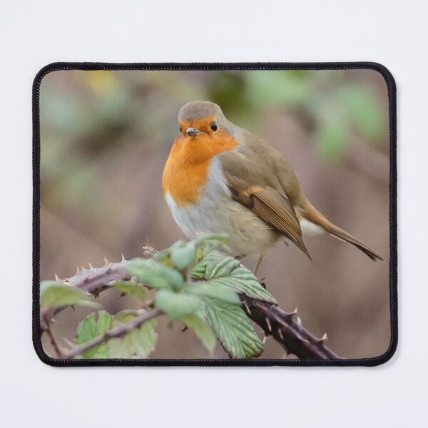 Item preview, Robin in the brambles designed and sold by Dalyndigital Photography.