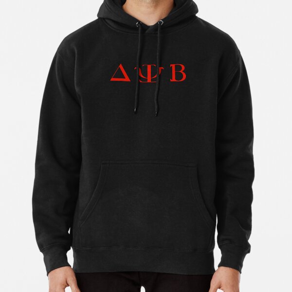 Delta Psi Beta Zac Efron Neighbors Red Vintage Pullover Hoodie