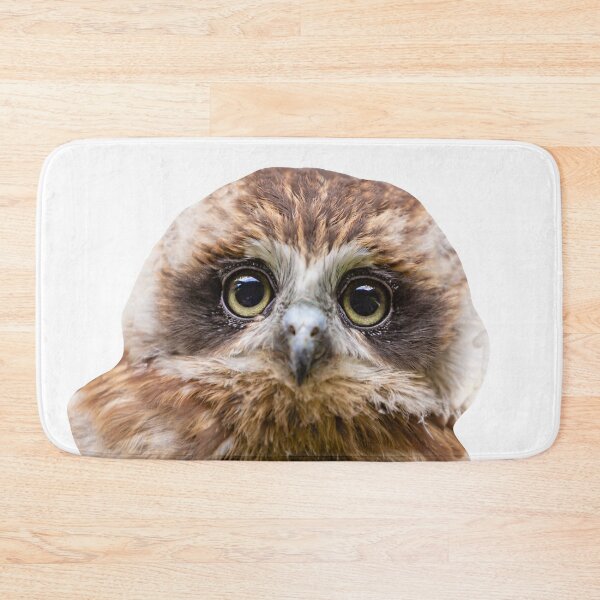 Item preview, Bilbo the Boobook owl designed and sold by Dalyndigital Photography.
