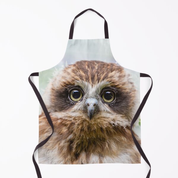 Item preview, Bilbo the Boobook owl designed and sold by Dalyndigital Photography.