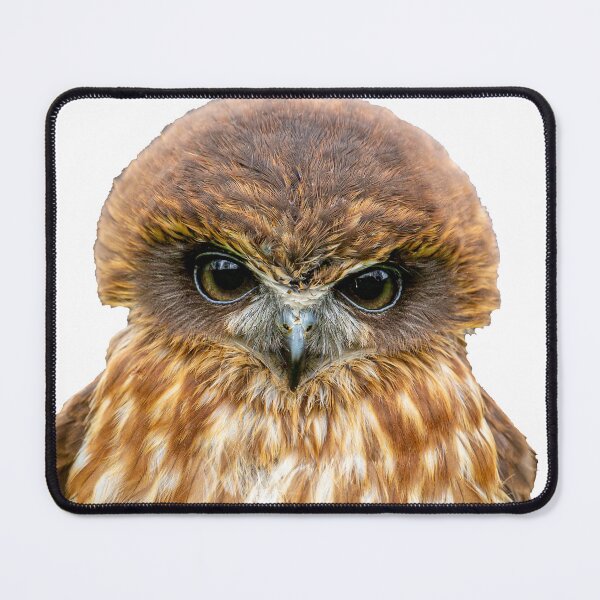Item preview, Billy the Boobook owl designed and sold by Dalyndigital Photography.