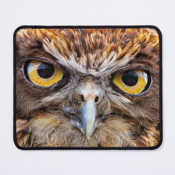 Item preview, Boobook stare designed and sold by Dalyndigital Photography.