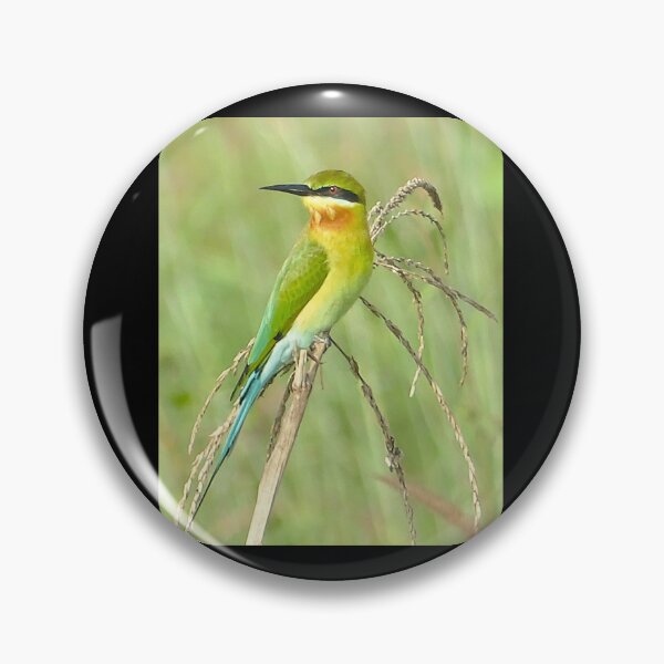 Item preview, THE BEE HARVESTER Graphic . designed and sold by biddixgapilk.