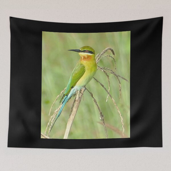 Item preview, THE BEE HARVESTER Graphic . designed and sold by biddixgapilk.