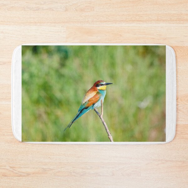 Item preview, European bee-eater (Merops apiaster) designed and sold by Graham Prentice.