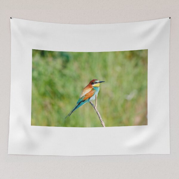 Item preview, European bee-eater (Merops apiaster) designed and sold by Graham Prentice.