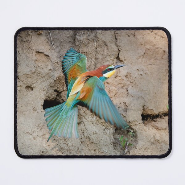 Item preview, European bee-eater (Merops apiaster) designed and sold by Graham Prentice.