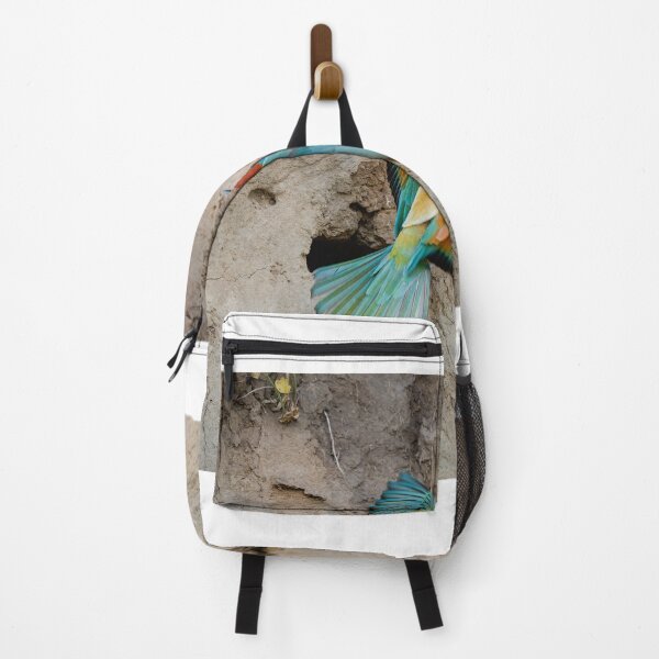 Item preview, European bee-eater (Merops apiaster) designed and sold by Graham Prentice.