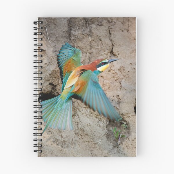 Item preview, European bee-eater (Merops apiaster) designed and sold by Graham Prentice.
