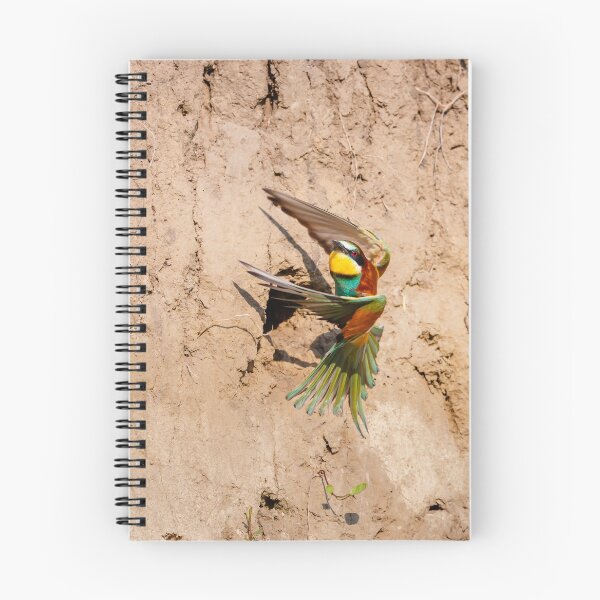 Item preview, European bee-eater (Merops apiaster) designed and sold by Graham Prentice.