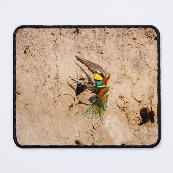 Item preview, European bee-eater (Merops apiaster) designed and sold by Graham Prentice.
