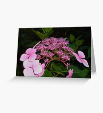 flowers Greeting Card