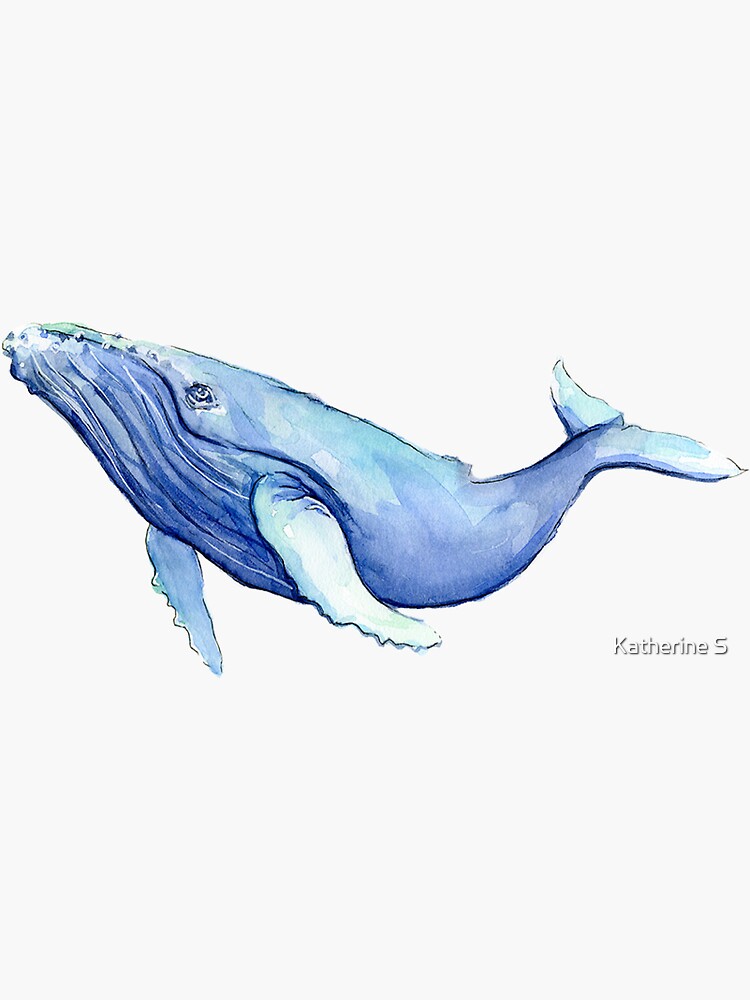 Blue Watercolor Humpback Whale by katherineshek
