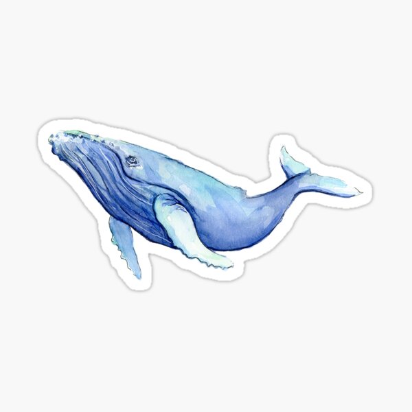 Blue Watercolor Humpback Whale Sticker