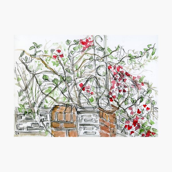 Item preview, Wandering Vine designed and sold by CeciliaBell.