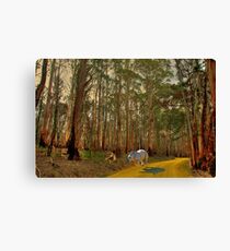 Looking For Dorothy Canvas Print