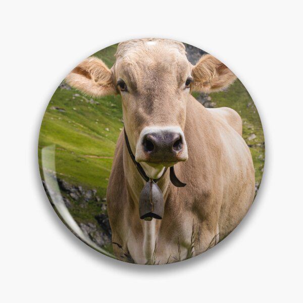 Item preview, Cow on a pasture in Graubünden in Switzerland designed and sold by dieterich.