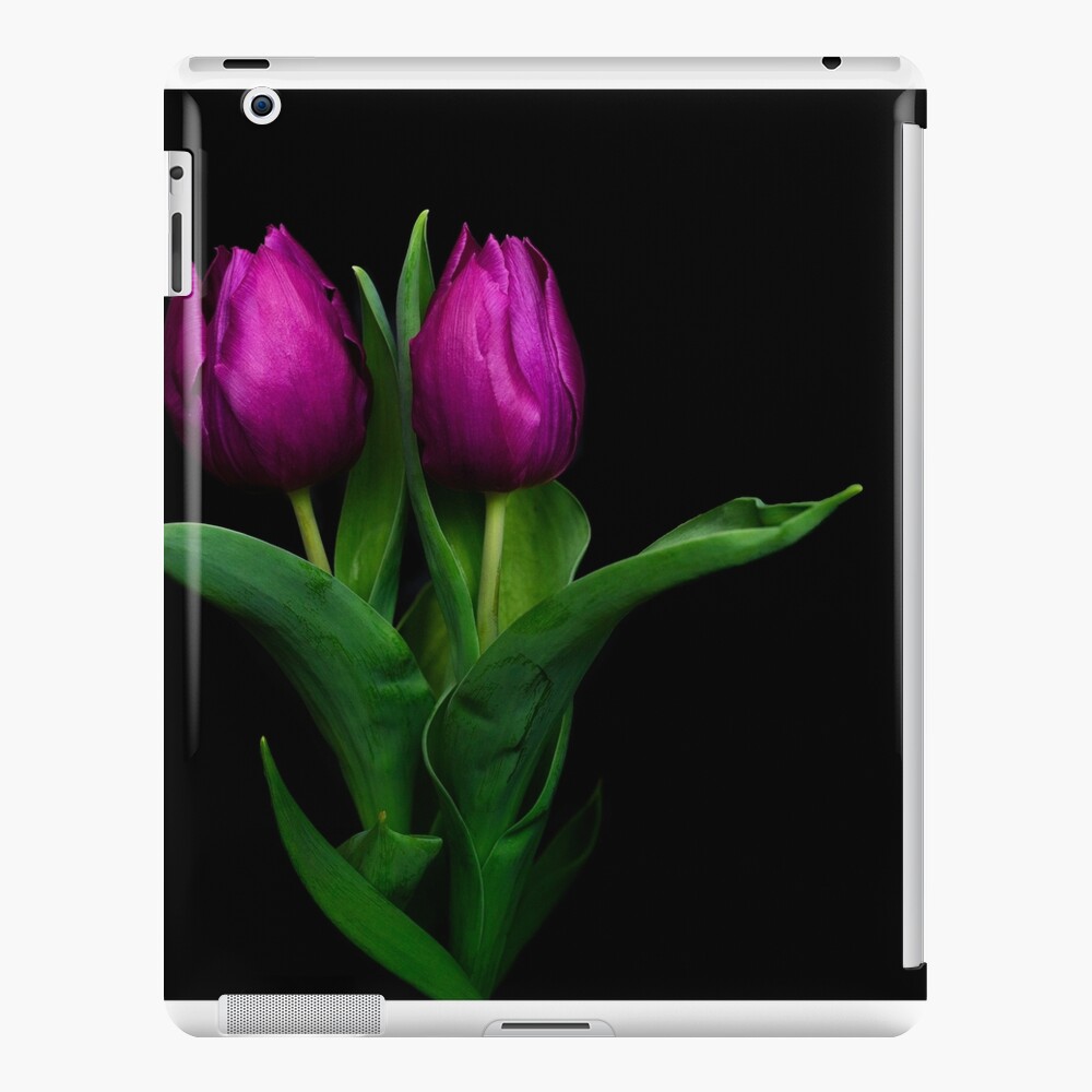 Item preview, iPad Snap Case designed and sold by Bianca-Jansen.
