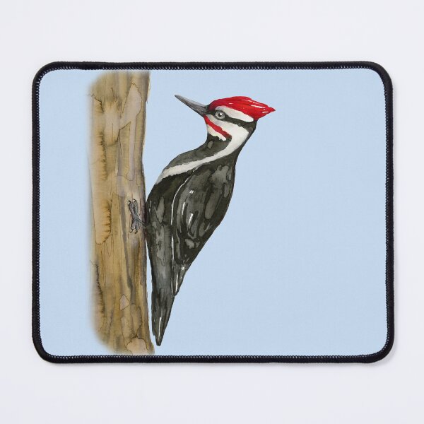 Item preview,  Pileated woodpecker watercolor designed and sold by Bwiselizzy.