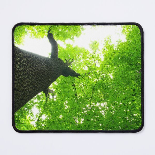 Item preview, green nature photography designed and sold by Quotes-and-plus.