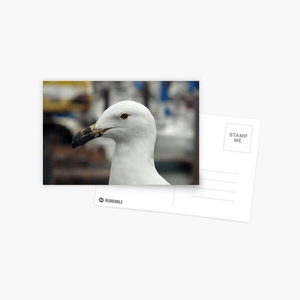 Item preview, Gull designed and sold by ArykaBrimmer.