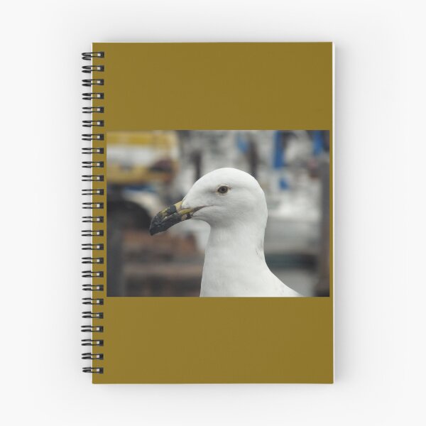 Item preview, Gull designed and sold by ArykaBrimmer.