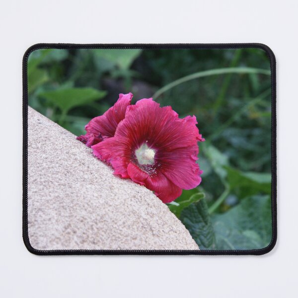 Item preview, Shyness designed and sold by coffeebean.