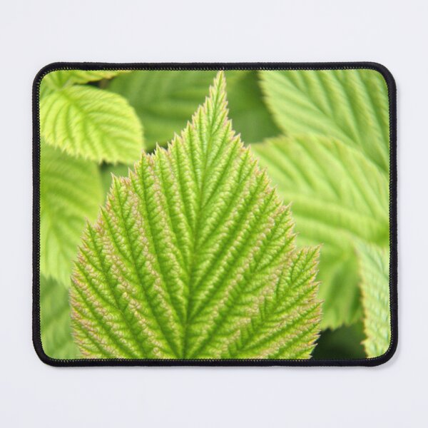 Item preview, Raspberry Leaf Art designed and sold by coffeebean.