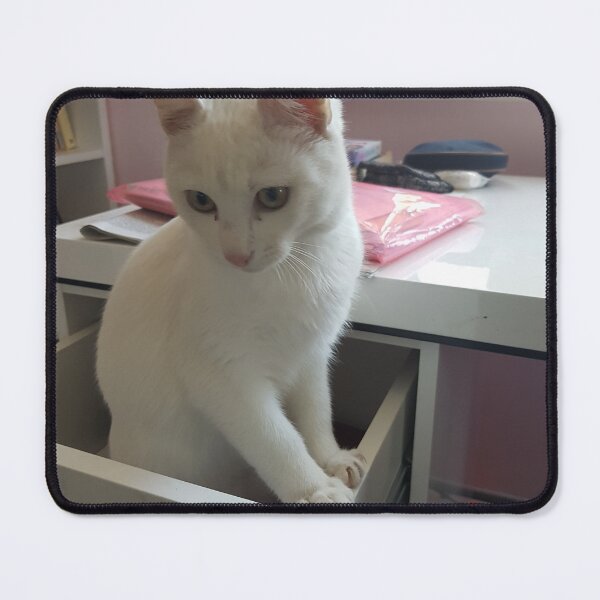 Item preview, white cat is hiding designed and sold by barbich.