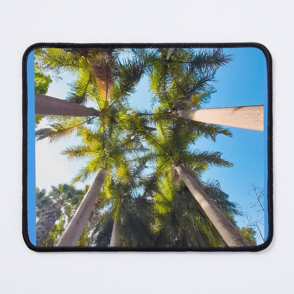 Item preview, coconut tree designed and sold by RayanneArt.