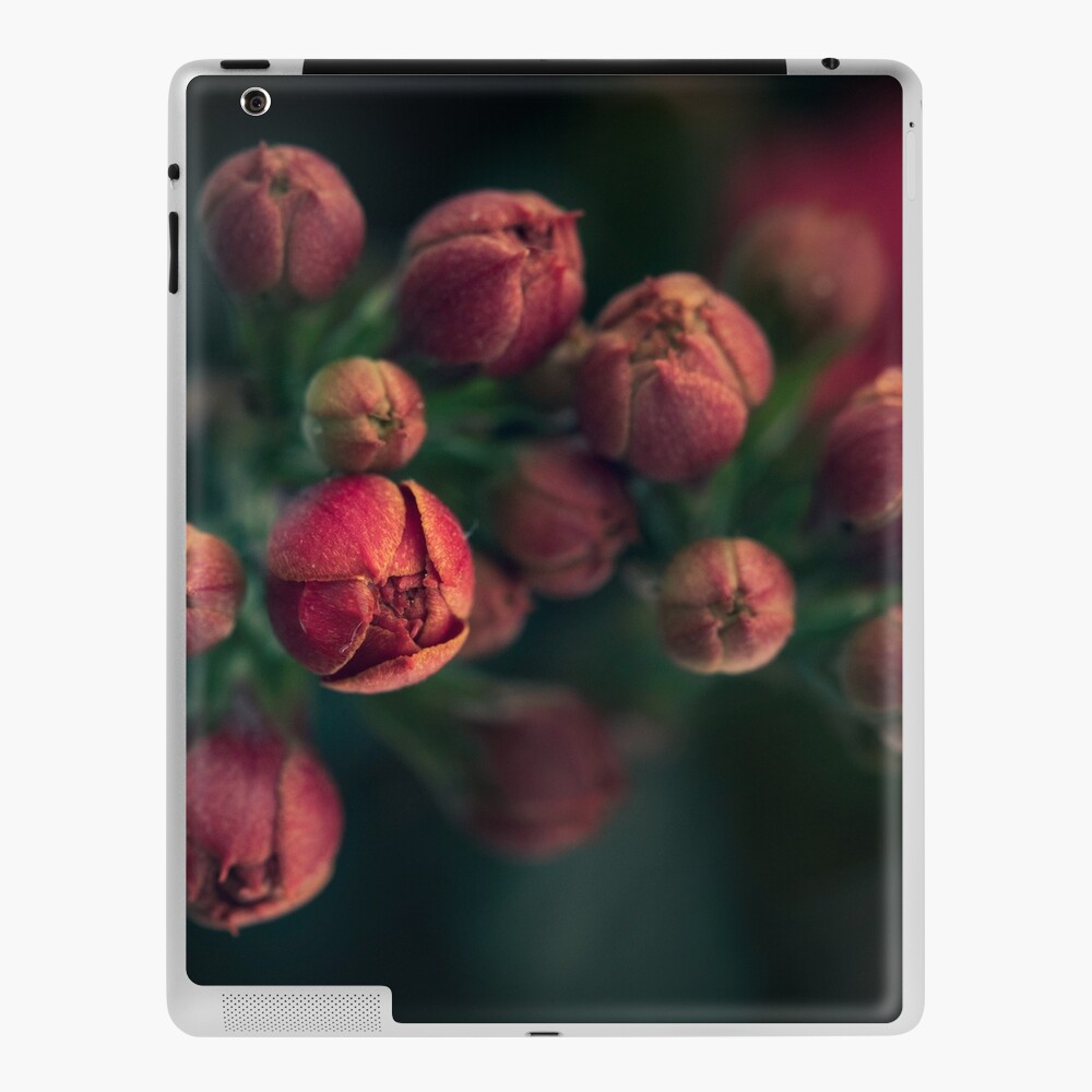Item preview, iPad Skin designed and sold by Bianca-Jansen.