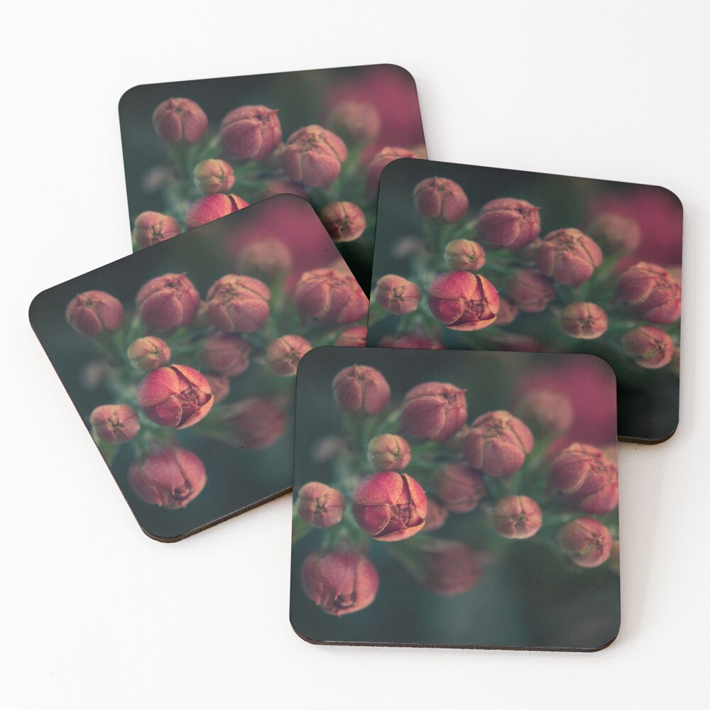 Item preview, Coasters (Set of 4) designed and sold by Bianca-Jansen.