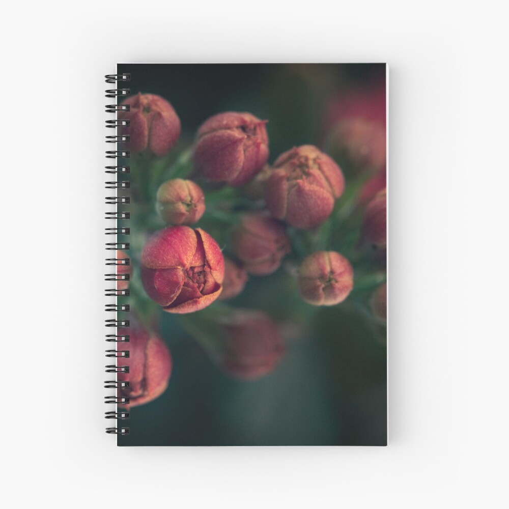 Item preview, Spiral Notebook designed and sold by Bianca-Jansen.