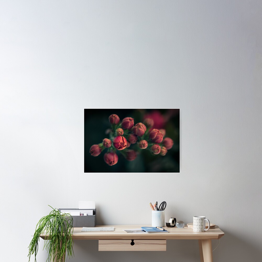 Item preview, Poster designed and sold by Bianca-Jansen.