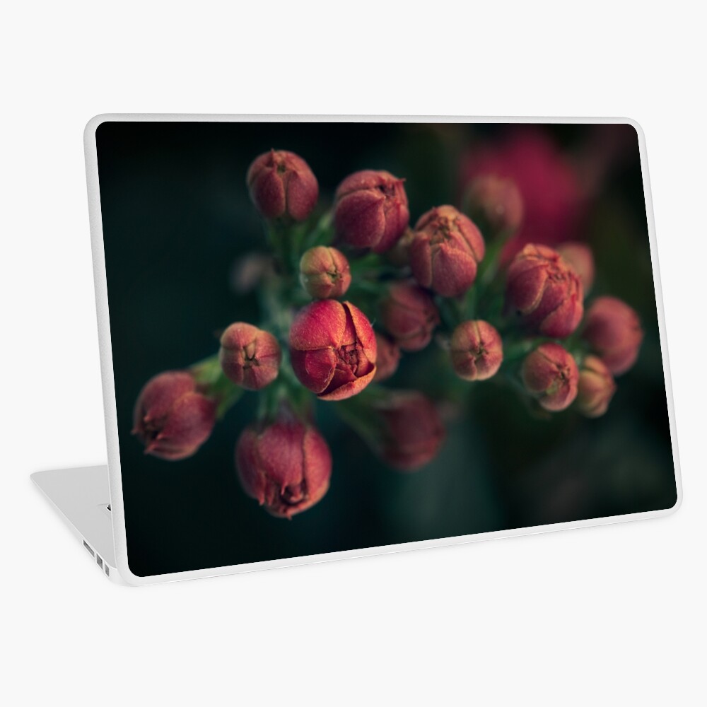 Item preview, Laptop Skin designed and sold by Bianca-Jansen.