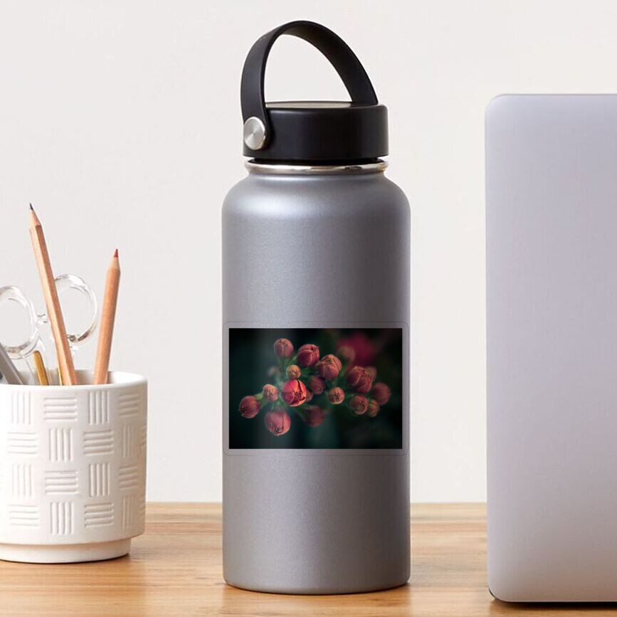 Item preview, Transparent Sticker designed and sold by Bianca-Jansen.