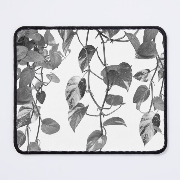 Item preview, Golden Pothos Ivy Dream #2 #tropical #wall #art designed and sold by Anita's & Bella's Art.