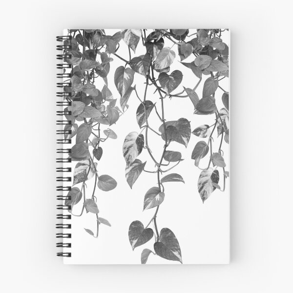 Item preview, Golden Pothos Ivy Dream #2 #tropical #wall #art designed and sold by Anita's & Bella's Art.