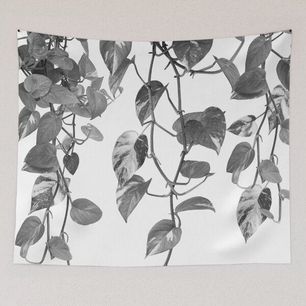Item preview, Golden Pothos Ivy Dream #2 #tropical #wall #art designed and sold by Anita's & Bella's Art.