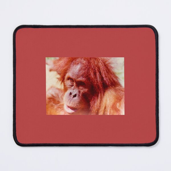 Item preview, 96.4% designed and sold by wazoowazoo.