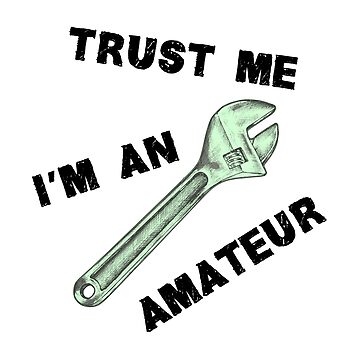 Artwork thumbnail, Trust me I am an amateur by reIntegration
