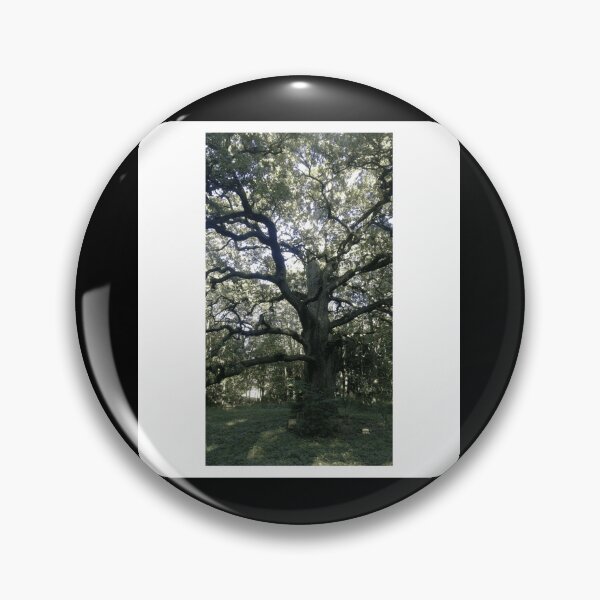 Item preview, The old tree Sleeveless Top designed and sold by fronktcstoot.